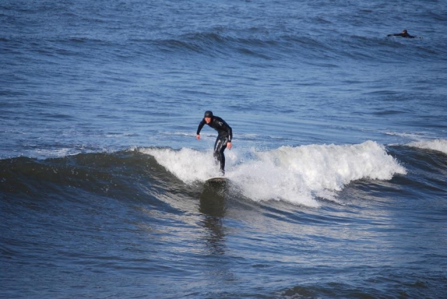  Surfear 